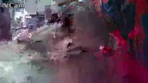 xxilikeassxx online show from 13, 2, 2026