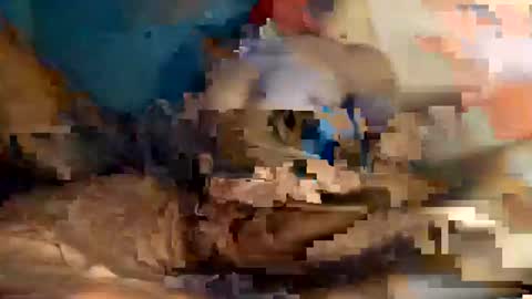 Snapshot of xxxdarknagician81 chatting on 21, 9, 2025 xxxdarknagician81 online show from 21, 9, 2025