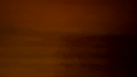 yacht3oy online show from 3, 12, 2024