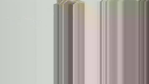 yangolox3 online show from 13, 9, 2025