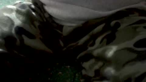 Yankee online show from 1, 2, 2026