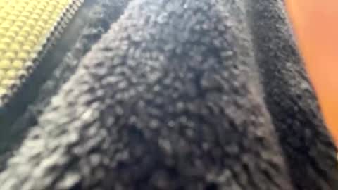 yasarsimo99154258 online show from 7, 4, 2026