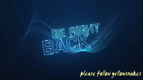 .     y e l l o w s n a k e s       . online show from 24, 11, 2025