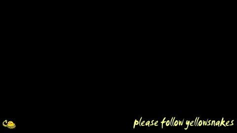 .     y e l l o w s n a k e s       . online show from 8, 2, 2026