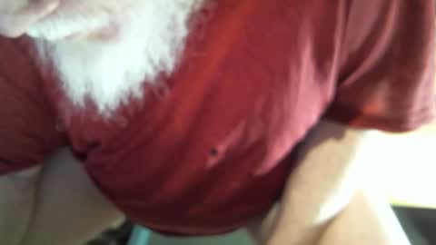 .     y e l l o w s n a k e s       . online show from 19, 2, 2026