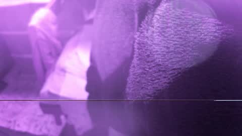 .     y e l l o w s n a k e s       . online show from 20, 2, 2026