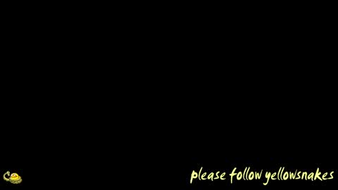 .     y e l l o w s n a k e s       . online show from 12, 4, 2026