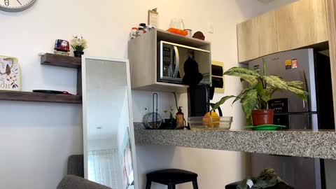 Snapshot of yes_mommy_zlata chatting on 2, 2, 2025 Zlata online show from 2, 2, 2025