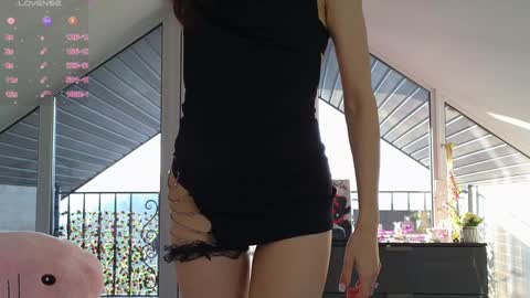 Snapshot of yononeey chatting on 27, 1, 2025 Wilma online show from 27, 1, 2025