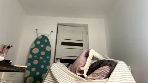 Snapshot of you_love_melisa chatting on 9, 1, 2025 private on 18 per minute start private 500 tokensOnlyfans online show from 9, 1, 2025