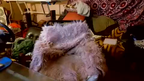 Taylor Tash online show from 20, 10, 2025