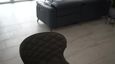 Siebel. online show from 4, 3, 2025