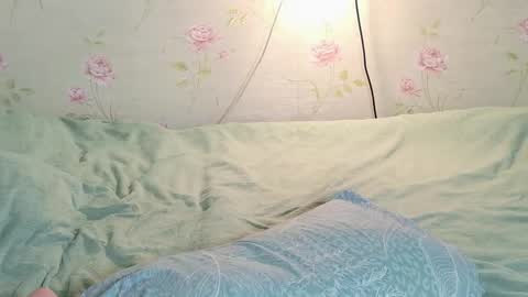 Polly online show from 18, 3, 2026