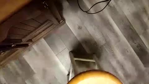 Snapshot of yupthatshim chatting on 23, 1, 2025 yupthatshim online show from 23, 1, 2025