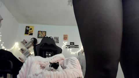 paola online show from 18, 1, 2025