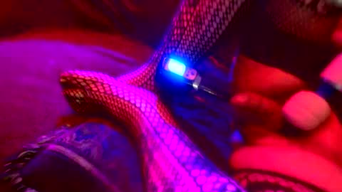 Snapshot of z0rl0c chatting on 4, 10, 2025 Z0RL0C online show from 4, 10, 2025