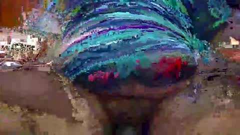 Zack online show from 12, 1, 2026