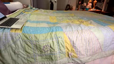 Snapshot of zaddykendoll chatting on 6, 1, 2025 Aiden online show from 6, 1, 2025