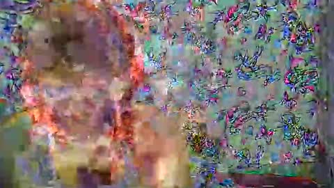 zarinamarlin online show from 1, 4, 2026