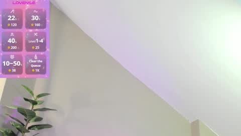 Zary online show from 28, 11, 2025