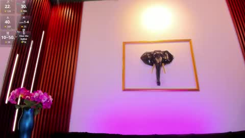  Zayda  online show from 26, 2, 2026