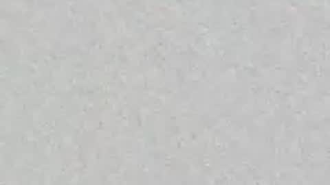 zebulon13210721402 online show from 28, 4, 2026