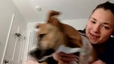 Snapshot of zellelajay2009 chatting on 12, 2, 2025 KENDAL Kaylee online show from 12, 2, 2025