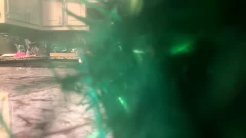 zerokool377 online show from 18, 12, 2024