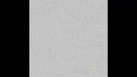 zhally_dee online show from 31, 1, 2026