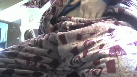 zhengxuansheng888 online show from 9, 3, 2025