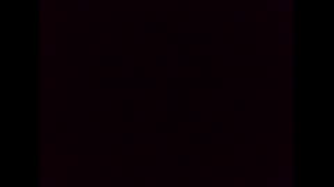 Ziggy online show from 4, 12, 2024