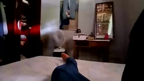 Snapshot of zitojose73 chatting on 4, 11, 2025 zitojose73 online show from 4, 11, 2025