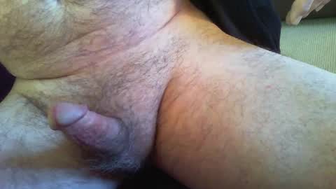 zokalo online show from 3, 1, 2025