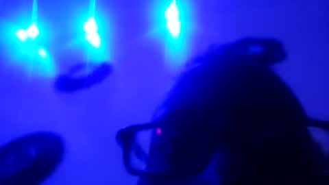 zooted12 online show from 11, 5, 2026
