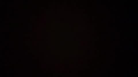 zoozdxb online show from 17, 1, 2026