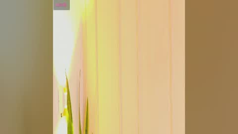 Zara online show from 25, 7, 2026