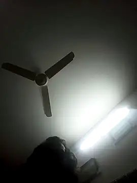 Rupok dulavai online show from 2, 12, 2024