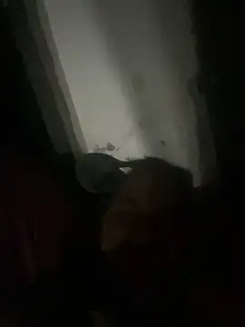 Snapshot of punhetaba chatting on 24, 2, 2026 punhetaba online show from 24, 2, 2026