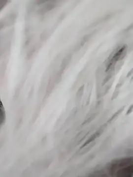 Snapshot of Linda_Gregory chatting on 9, 12, 2024 Linda Gregory online show from 9, 12, 2024