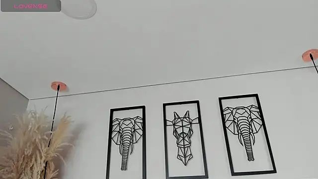 Rebeca jones online show from 20, 11, 2025