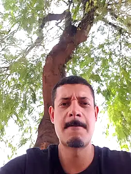 bond Mask online show from 18, 3, 2026