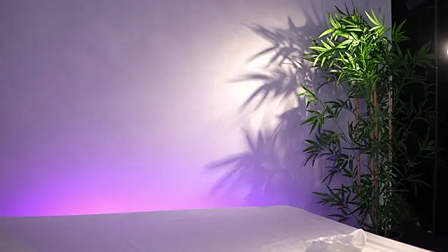 ArtTeasee online show from 3, 4, 2026