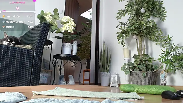 Squirtmania online show from 1, 1, 2025