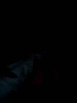 michele1500 online show from 25, 11, 2025