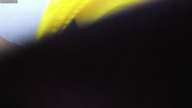 Alice bloom  online show from 13, 1, 2026