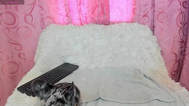 Snapshot of iisabella_gonzalez chatting on 13, 9, 2025 iisabella gonzalez online show from 13, 9, 2025