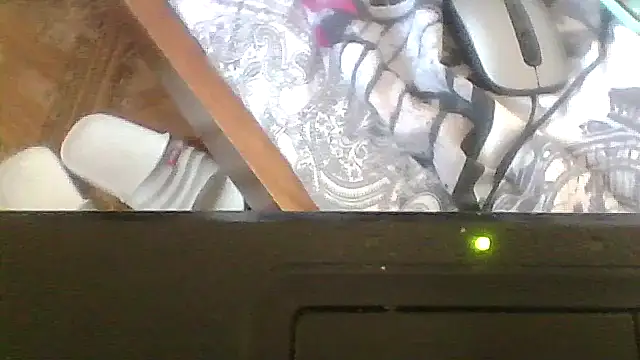 Snapshot of ShawnaAdams chatting on 19, 2, 2026 ShawnaAdams online show from 19, 2, 2026