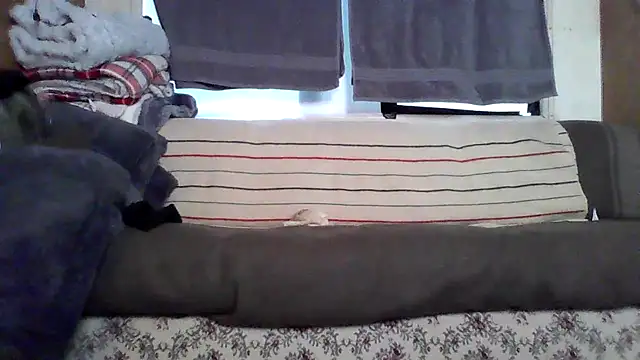 deepstroker42071 online show from 14, 3, 2026