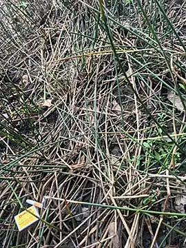 Snapshot of Yurt000 chatting on 16, 9, 2025 Yurt000 online show from 16, 9, 2025