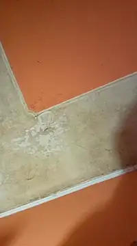 Snapshot of ducicsajsziii chatting on 19, 3, 2025 ducicsajsziii online show from 19, 3, 2025